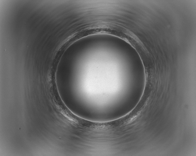 X0000073760826200608031532