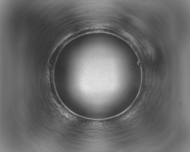 X0000073760827200608031532