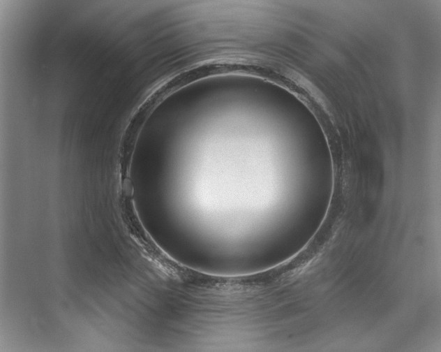 X0000073760829200608031532