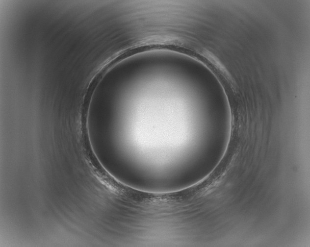 X0000073760834200608031532