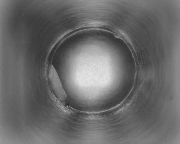 X0000073760835200608031532
