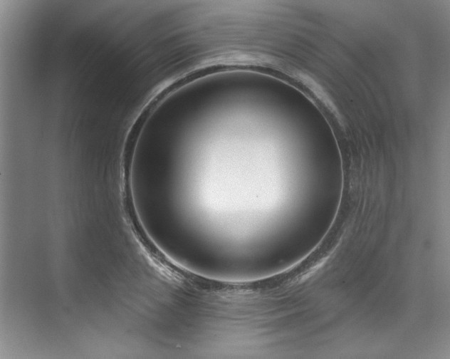 X0000073760837200608031532