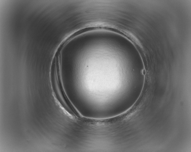 X0000073760839200608031532