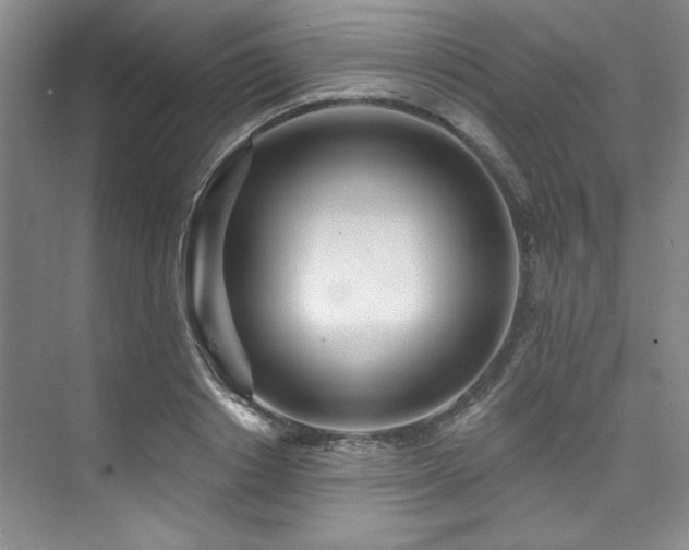 X0000073760842200608031532