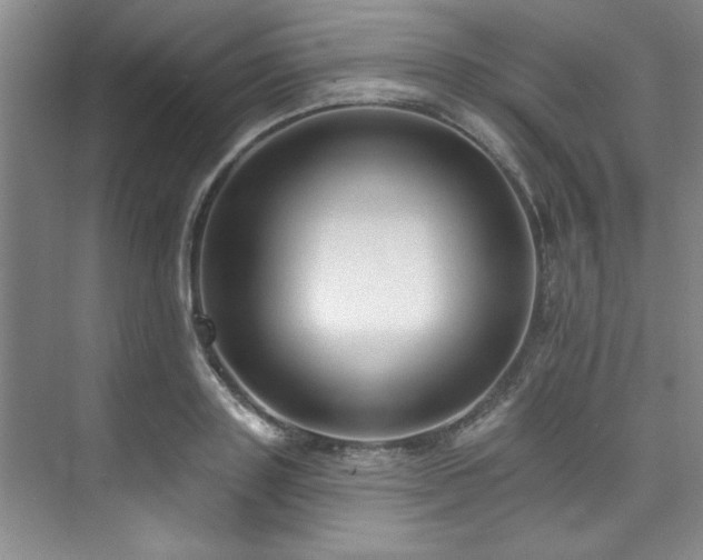 X0000073760843200608031532