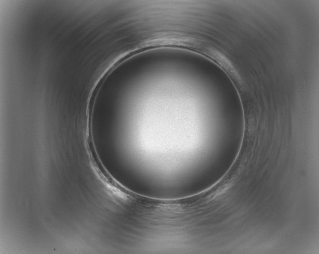X0000073760844200608031532