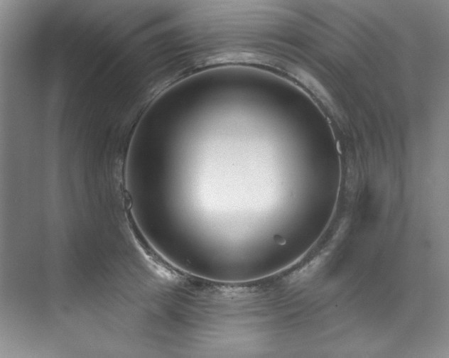X0000073760849200608031532