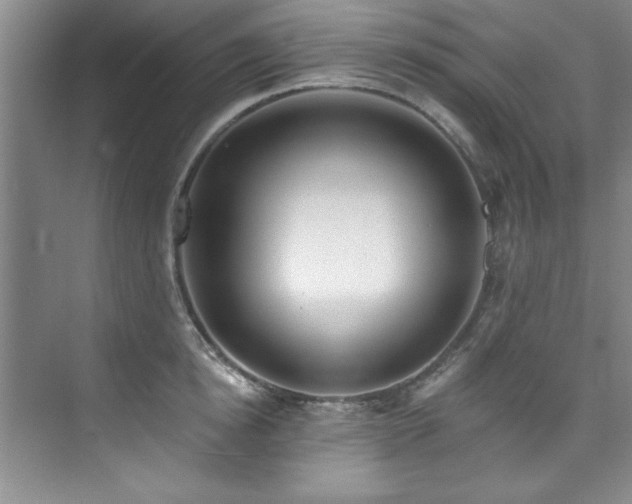 X0000073760854200608031532