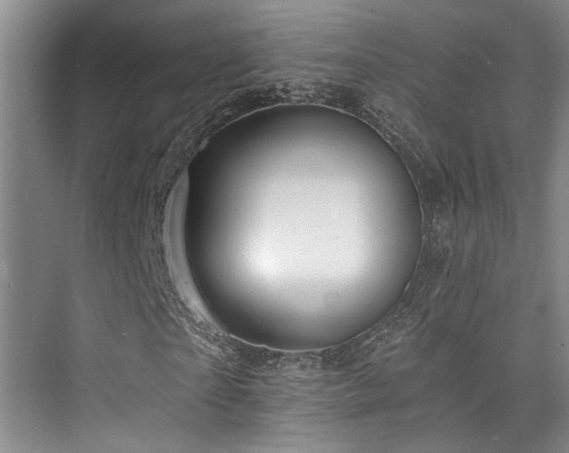 X0000073760865200608031531