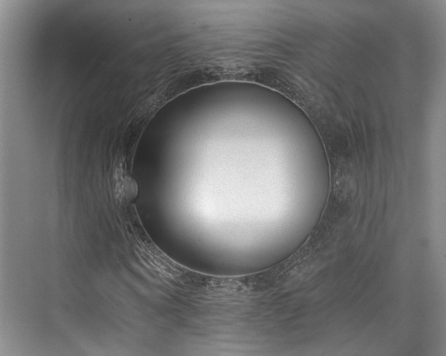 X0000073760866200608031531