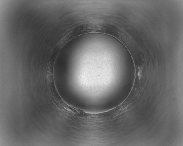 X0000073760867200608031531