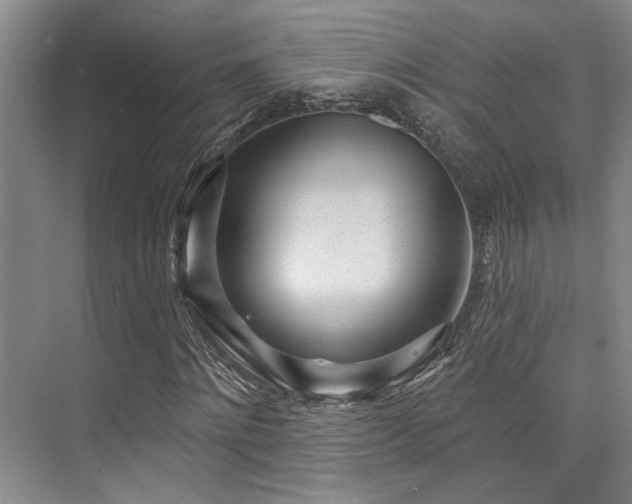 X0000073760868200608031531