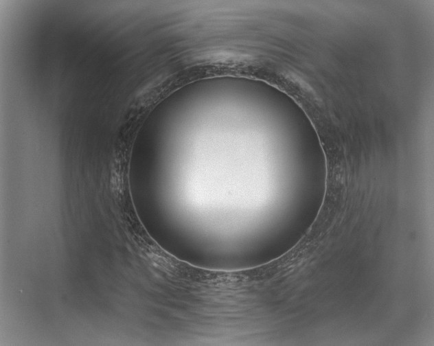 X0000073760869200608031531