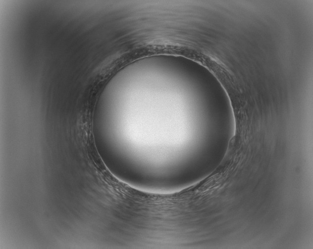 X0000073760870200608031531