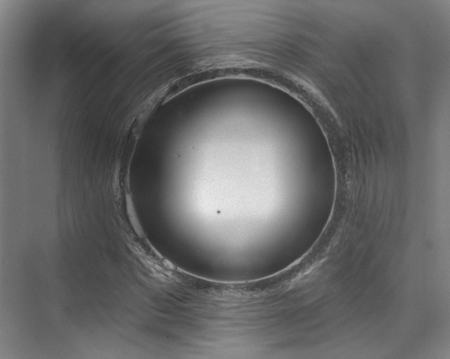 X0000073760873200608031531