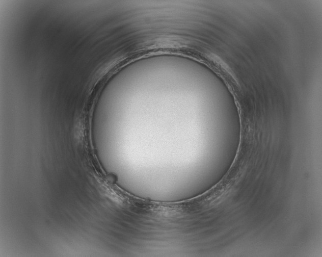 X0000073760874200608031531