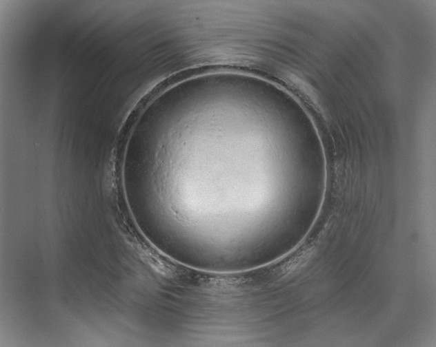 X0000073760875200608031531