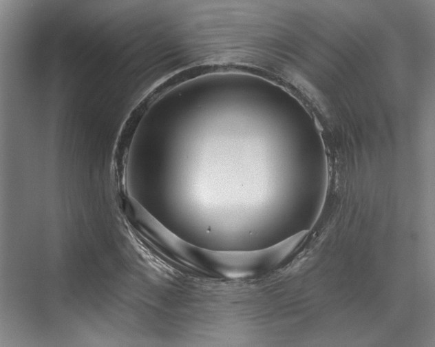 X0000073760876200608031531