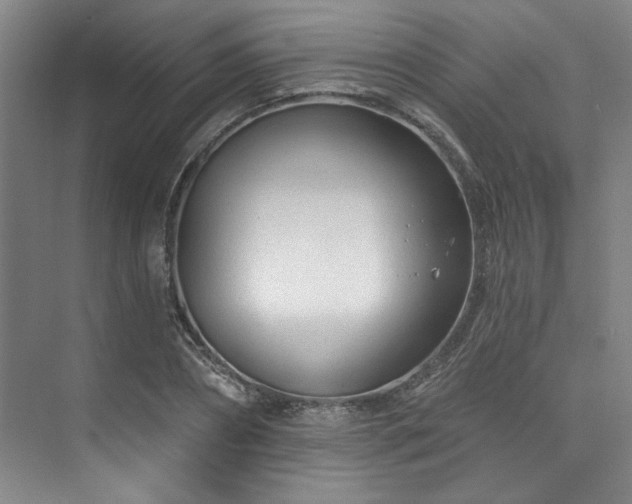 X0000073760882200608031531