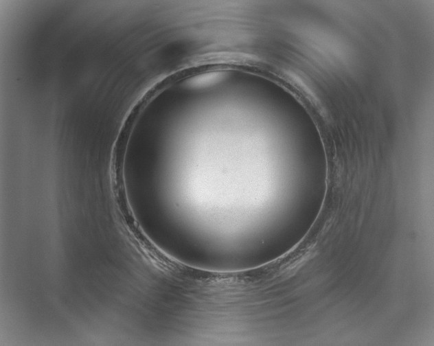X0000073760883200608031531