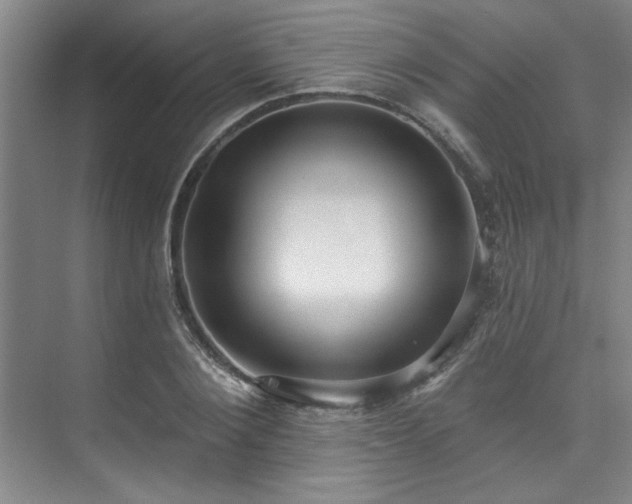 X0000073760884200608031531