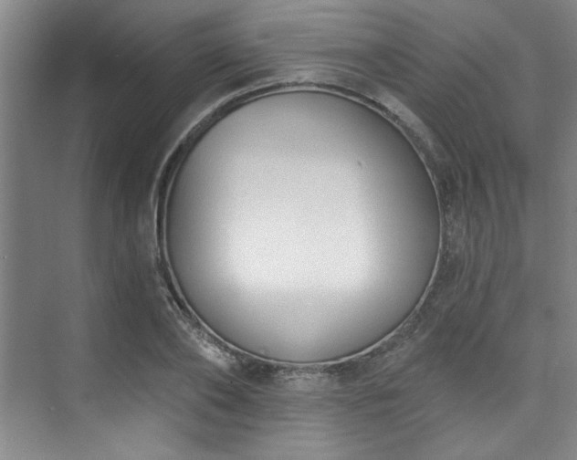 X0000073760886200608031531