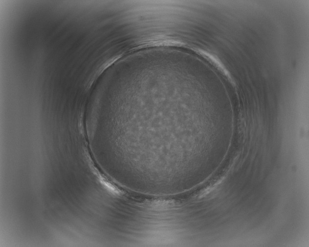 X0000073760889200608031531