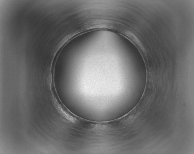 X0000073760890200608031531