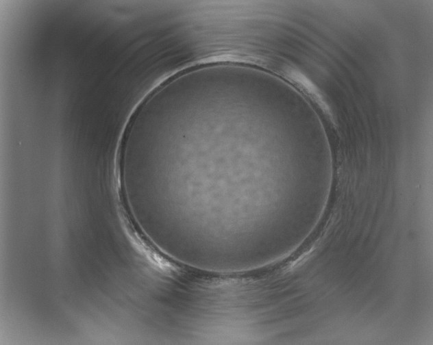 X0000073760892200608031531