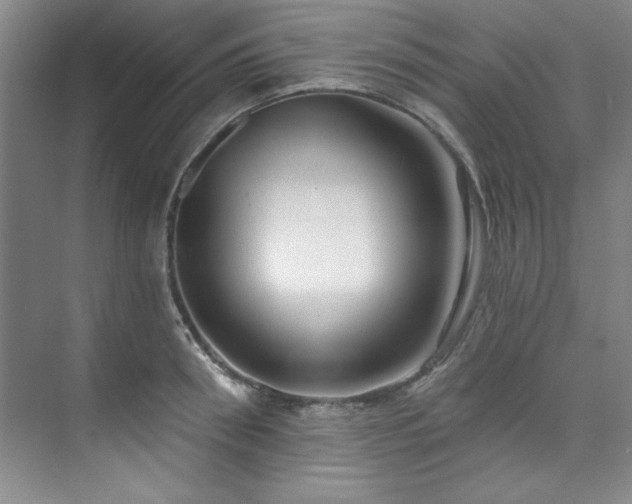 X0000073760898200608031531