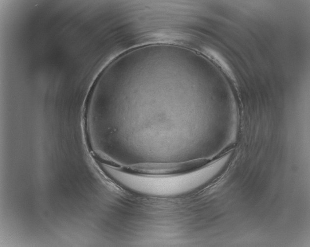 X0000073760899200608031531