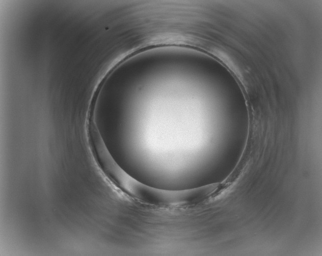 X0000073760901200608031531