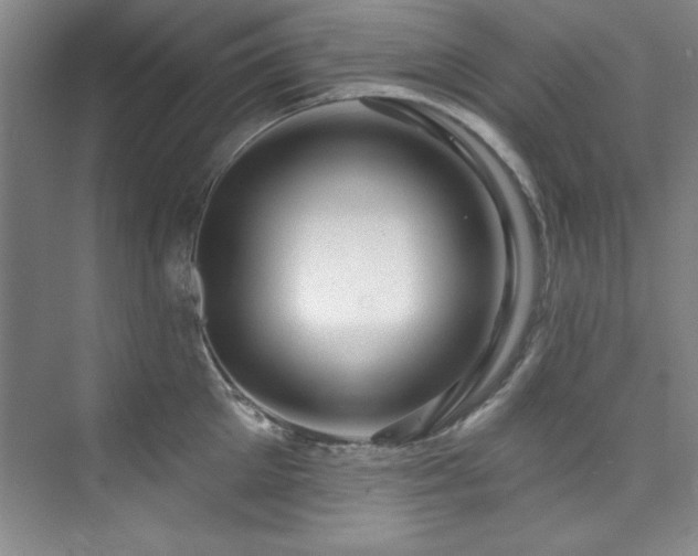 X0000073760905200608031531