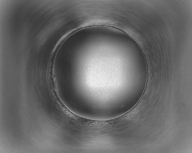 X0000073760912200608031531