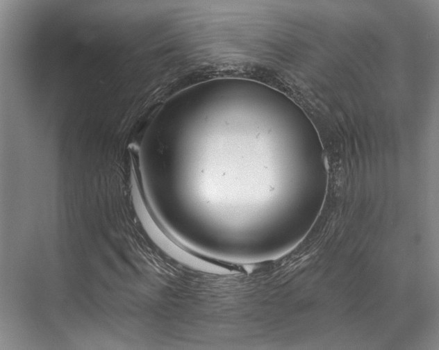 X0000073760916200608031530