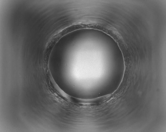 X0000073760920200608031530