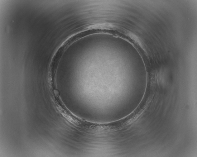 X0000073760923200608031530