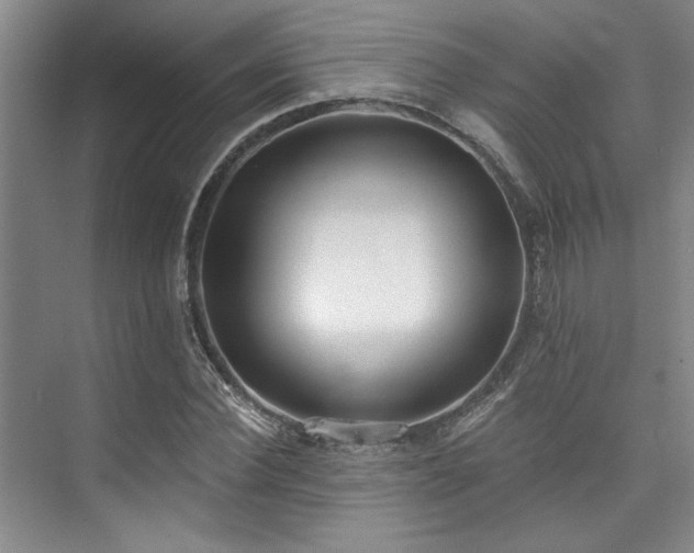X0000073760924200608031530