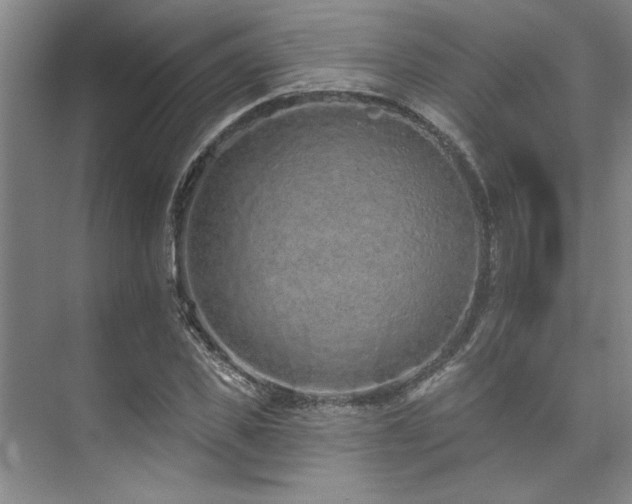X0000073760925200608031530