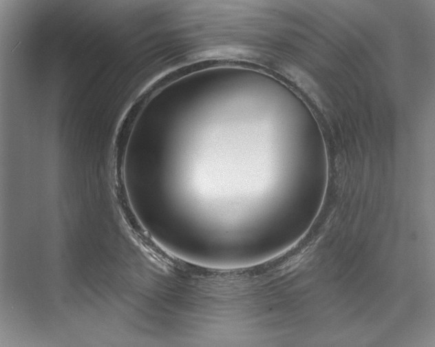 X0000073760931200608031530