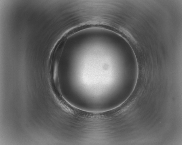 X0000073760934200608031530