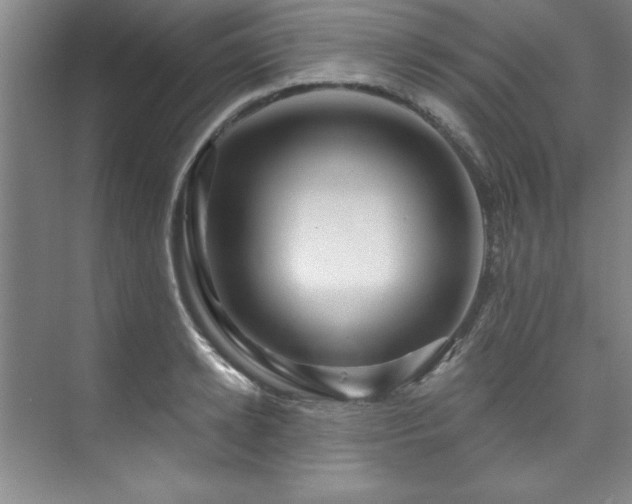 X0000073760942200608031530
