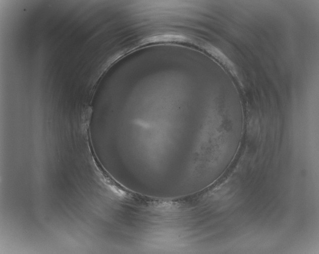 X0000073760945200608031530