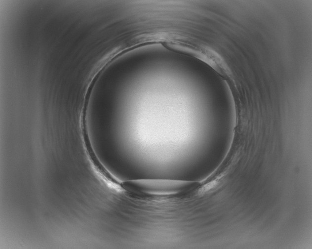 X0000073760946200608031530