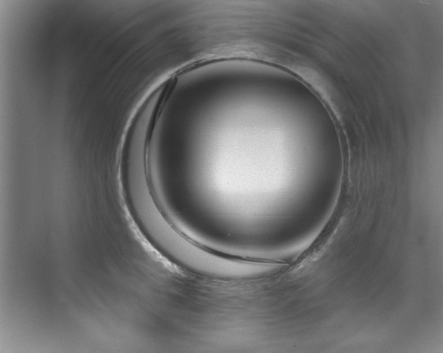 X0000073760949200608031530