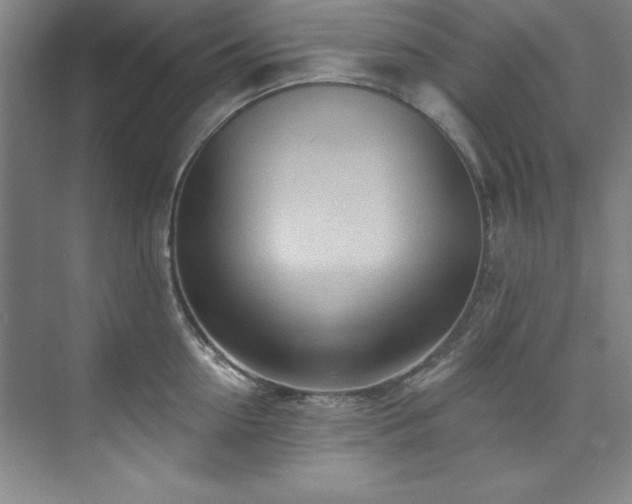 X0000073760954200608031531