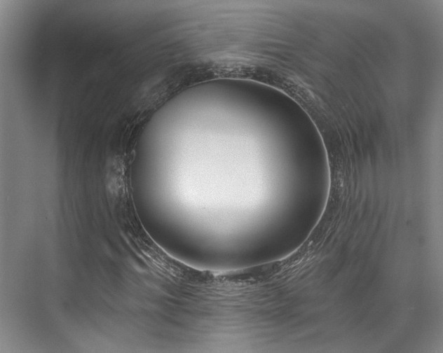 X0000073760964200608031530