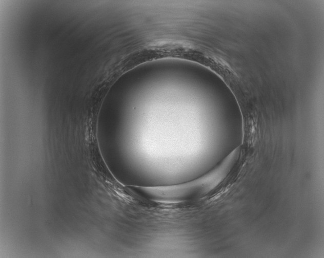 X0000073760965200608031530