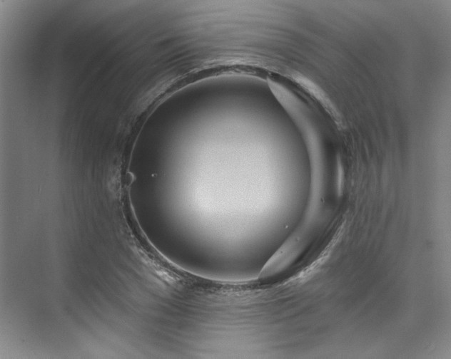 X0000073760977200608031530