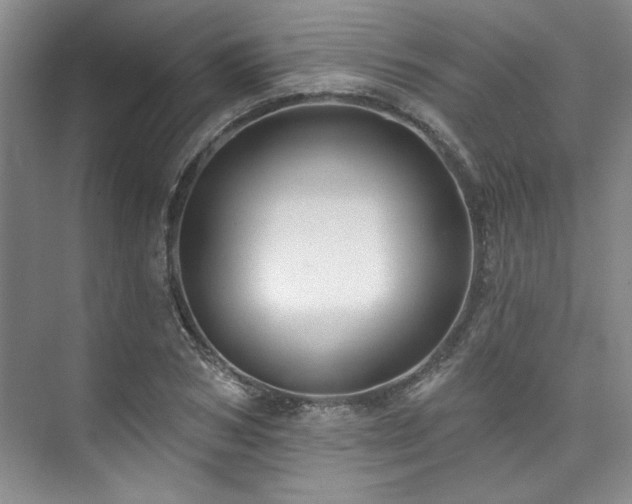 X0000073760978200608031530